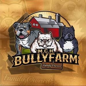 Meet your Posher, Ralph